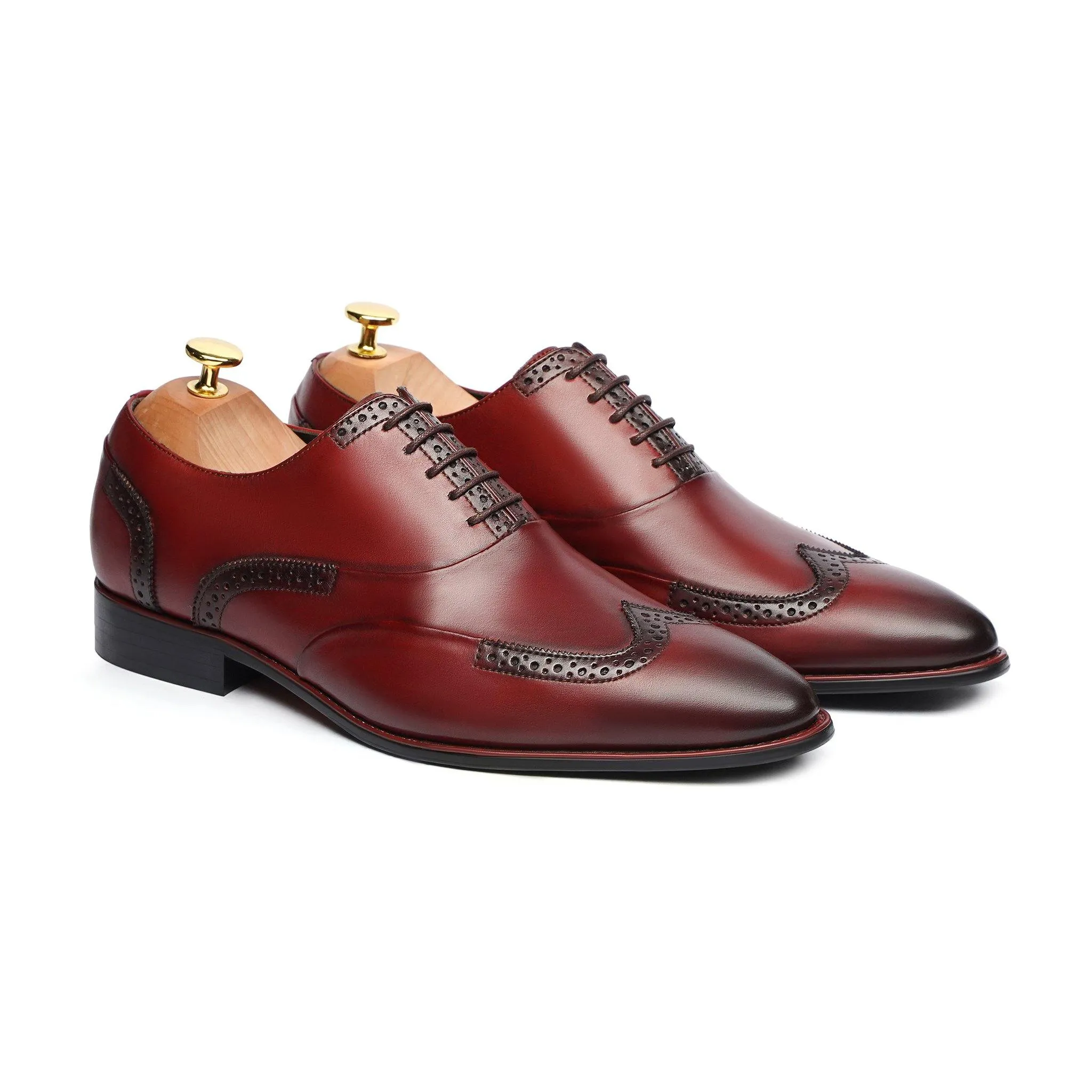 ANKARA - OXBLOOD OXFORD