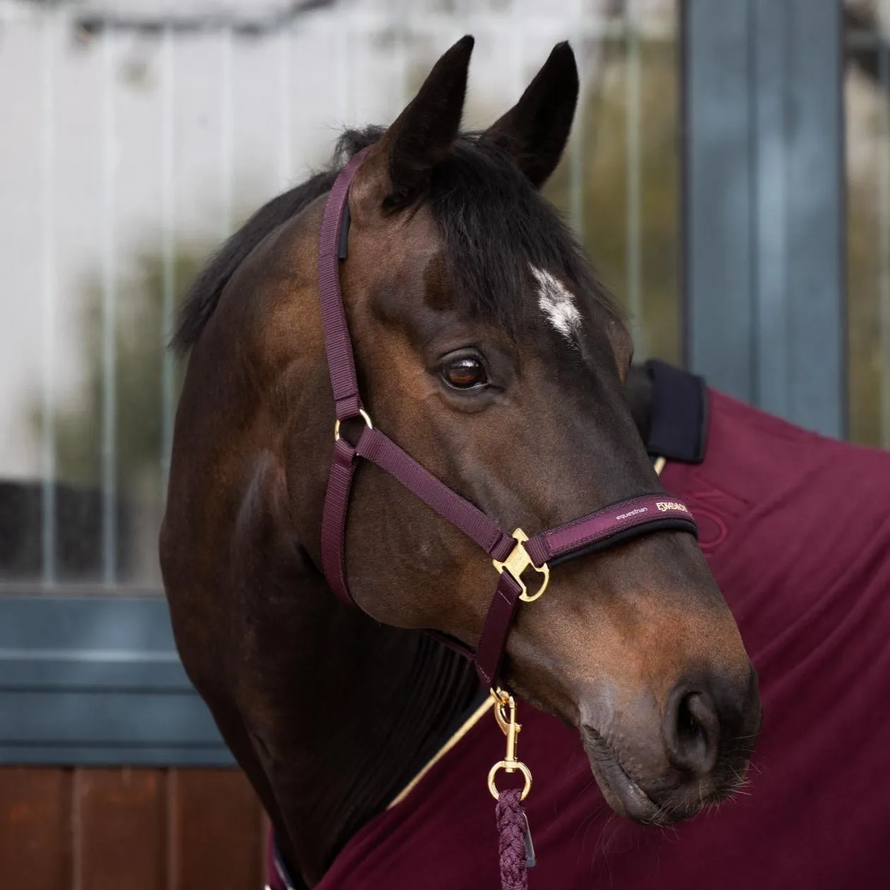 Eskadron Pin Buckle Head Collar