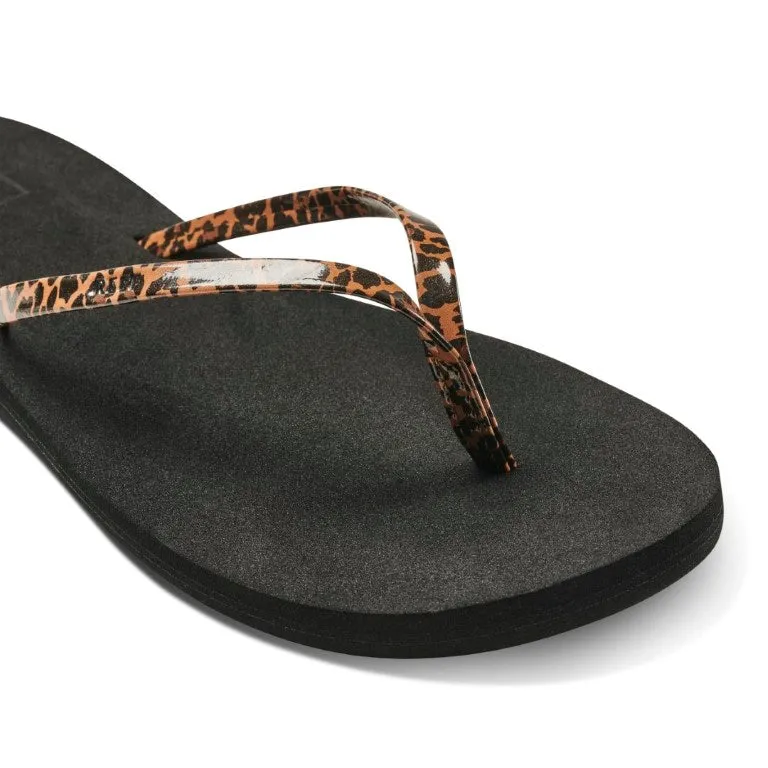 Reef Bliss Nights Leopard   