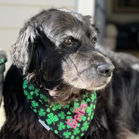 St Patrick's Day Dog Bandanas with Personalization